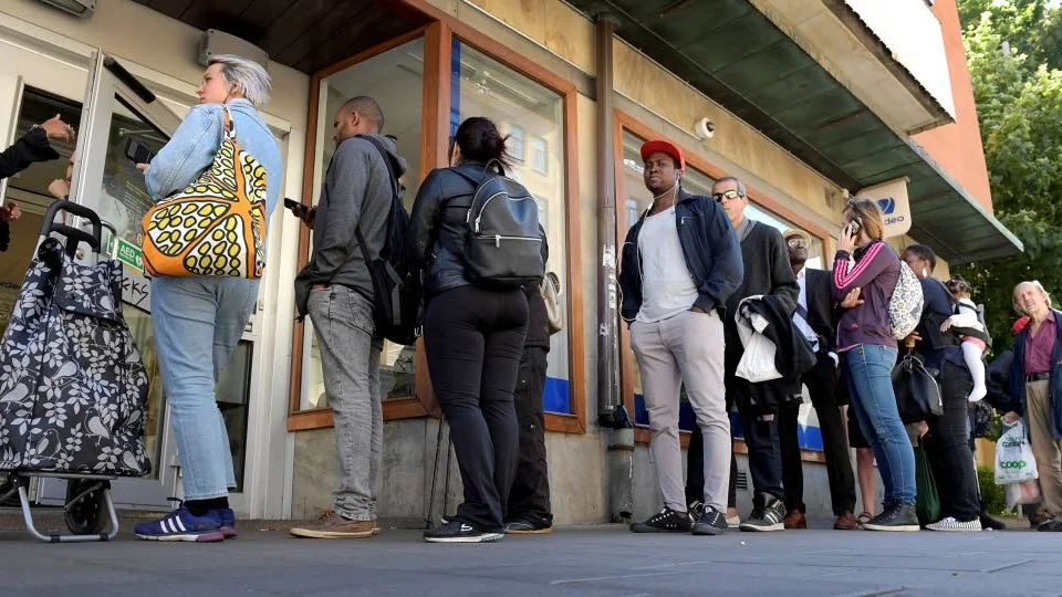 Vårdköer. Ser inte riktigt ut så här, men växer gör de.