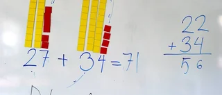 Skolans problem är också pedagogiskt