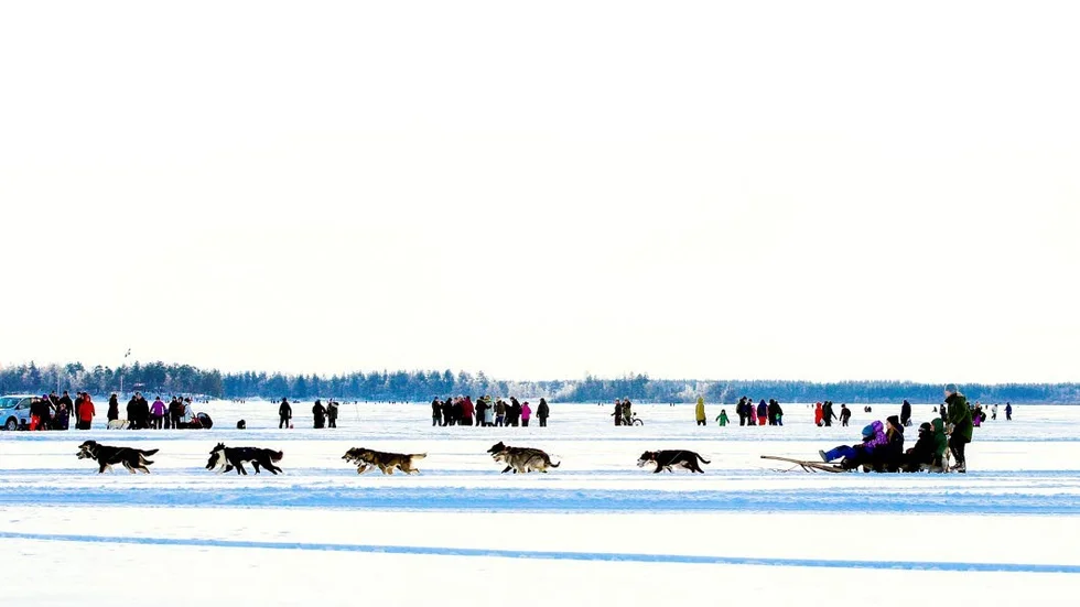 Luleå on ice. Massor av folk på isen i södra hamnen i lördags.