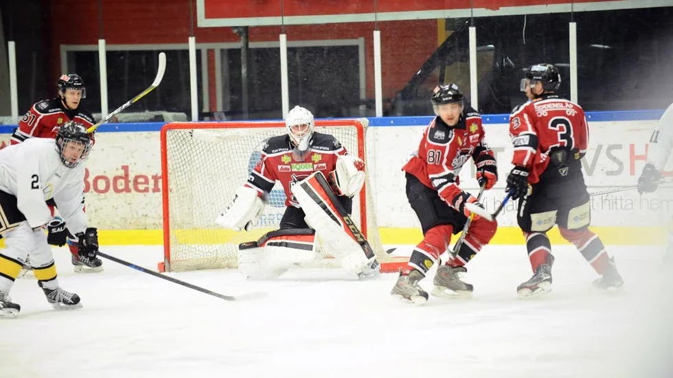 Lagbygget. Bodens HF fortsätter att bygga sin trupp för division 1-spel.