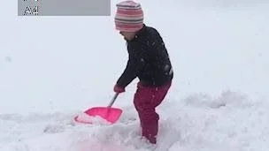 Leah Guldenhav i Kiruna är trött på snön. Tja, vem är inte det.