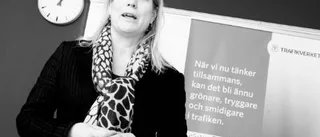 Hot och möjligheter för Gotland