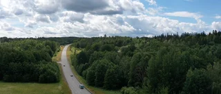 Beskedet: Olycksvägen ska få fler viltstängsel