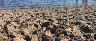 UNT tar tempen på badvattnet – hela sommaren!
