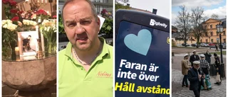 Okänd orm och pandemi – minns du nyhetsåret i Uppsala?