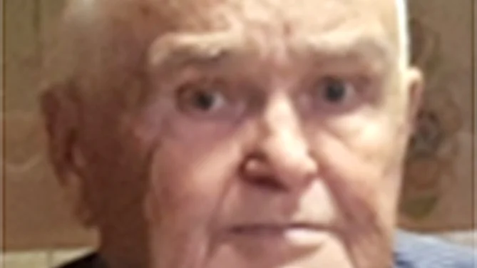 Thomas Westermark, Häbbersliden