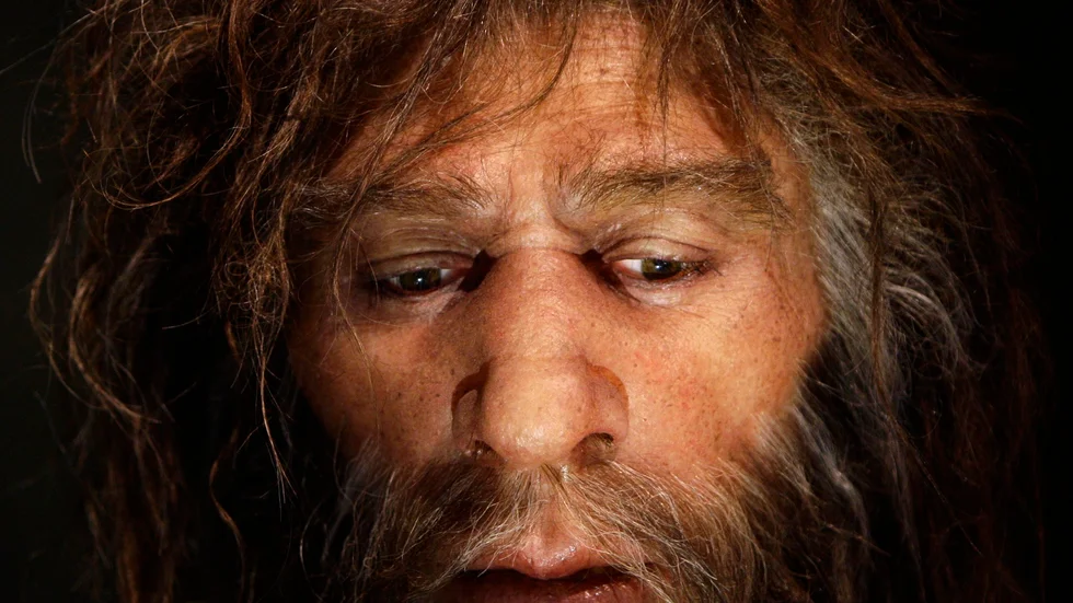 Lite oväntat verkar det som om en genvariant vissa av oss ärvt från neandertalarna innebär en ökad risk vid covid-19. Arkivbild.