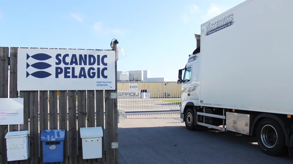 Scandic Pelagic lade ner 2020, nu har ett systerbolag till företaget återöppnat verksamheten.