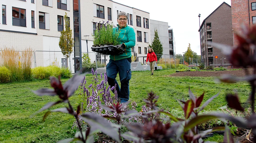 Josefin Edling berättar att en plantering egentligen ska hålla längre än sex år. I bakgrunden skymtar Ann-Catrin Thor.