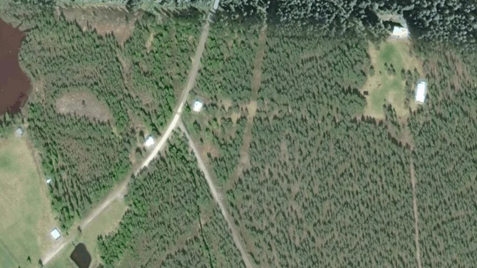 Området kring Bergnäs 11