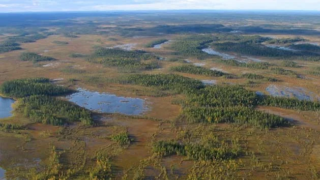 Norrbotten är Sveriges mest våtmarksrika län med två miljoner hektar våtmarksareal.