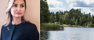 Busch anmäld för grovt förtal i husbråket