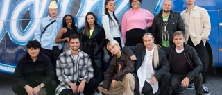 Alla i "Idol" sjunger live på fredag