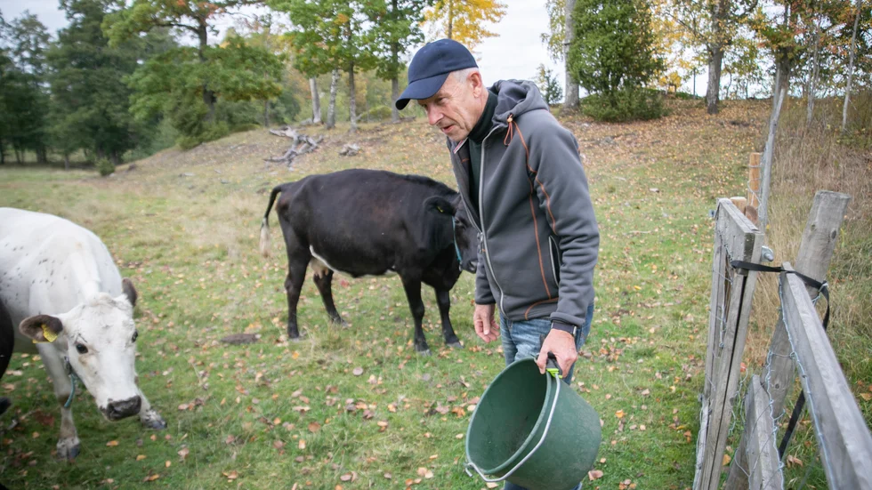 Det är inte rimligt att kommunen inte bidrar till underhållet av en väg som leder till en kommunal badplats, anser Olof Lindén, ordförande i den berörda vägsamfälligheten.