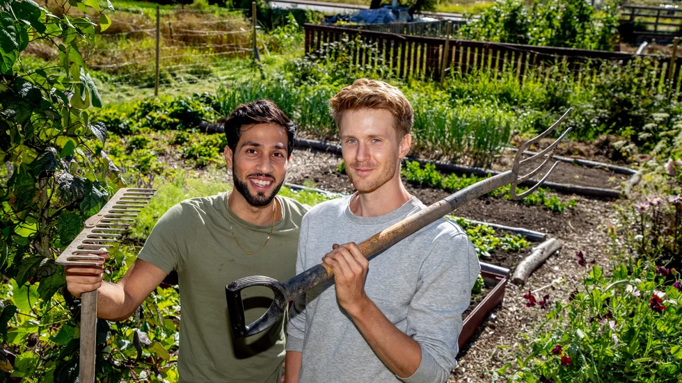 Milad Mohammadieh (till vänster) och Viktor Karlsson-Rutgersson har omvandlat en gräsmatta till ett prunkande grönt skafferi.