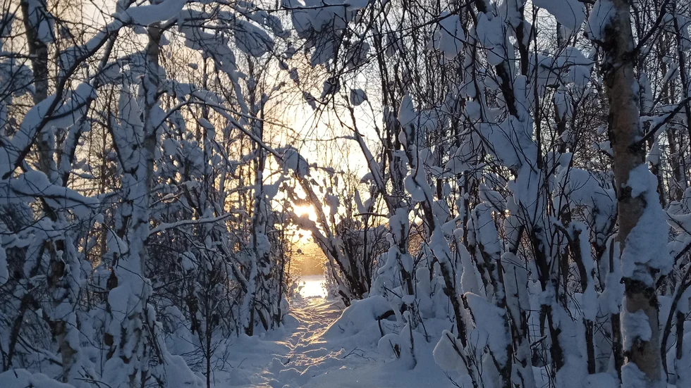 Lite ljusare för varje dag.