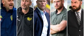 Namnen som kan ta över efter Rydström
