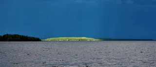Läsarbilden: Sommarminnen     