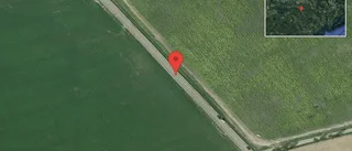 Fallna träd skapar problem i trafiken på väg 53