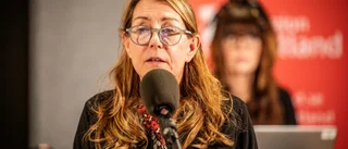 Gardell: "Fler sjuka medarbetare inom hemtjänsten"
