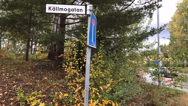 Kvinnan blev knivhuggen i hals och bröst på en parkeringsplats i anslutning till Källmogatan, den 8 oktober i år. 