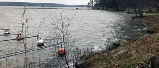 Pandemin sinkar båtklubbens flytt: "Stor investering"