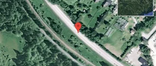 Rådjur på vägen på väg 56