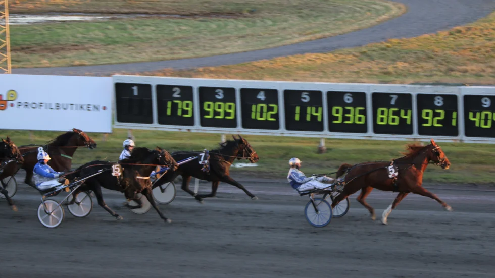 Varvet kvar i V65-5. Kalles Caviar Ås drar på framme i täten. Vinnaren och stroskrällen Lennox Laday (Jorma Särkiniva nr 7) smyger med i vinnarhålet medan storfavoriten Dante Godiva tröttnar.