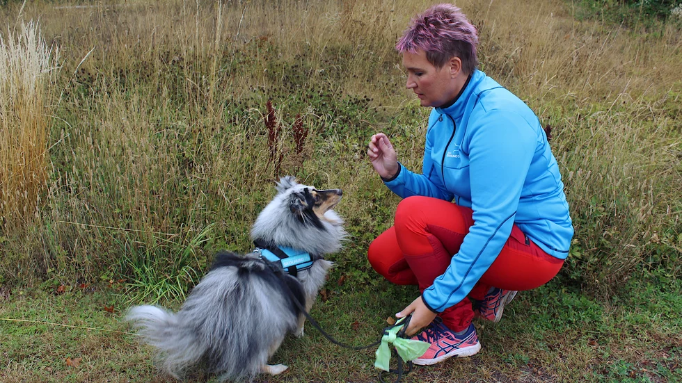 Rocky är gärna med på nya grejer och lär sig saker, om han får något gott av sin matte, Erika Kellgren.