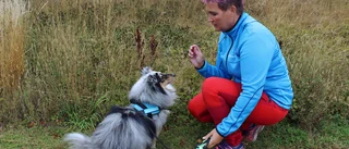 Skolhunden Rocky har fått sitt första uppdrag