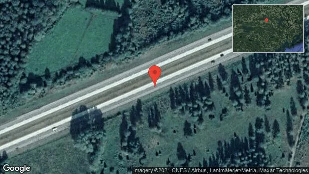 Rådjur på vägen på E20