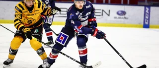 Senaste LHC-värvningen bekräftad: "En andra chans"
