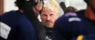 Eftertänksam vagabond som har hittat hem