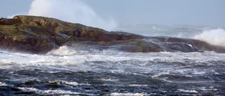 Storm väntas till sjöss – Umeåfärjor ställs in