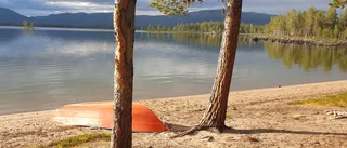 Läsarbilden                   