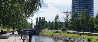 Läsarbilden                   