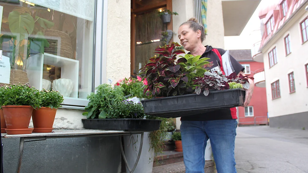 Madeleine Svensson jobbar på Lindeborgs Blommor i Vimmerby och är på väg att plocka ut växter. "Det märks att efterfrågan ökat".