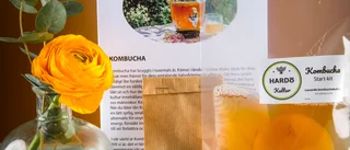 Startkit Kombucha hemmabryggning