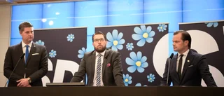 Påhopp och påhitt om SD                    