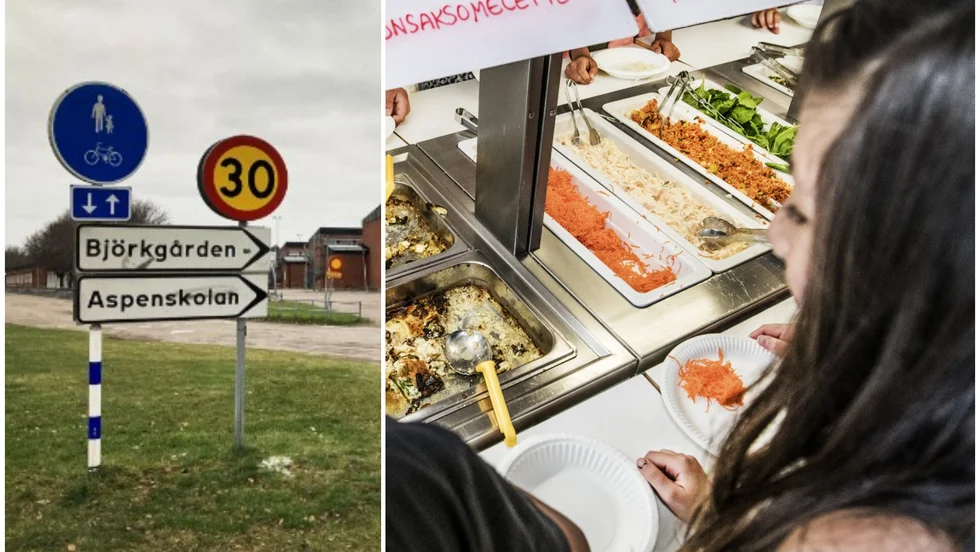 Aspenskolan anklagas för matfusk. Istället för att använda kycklingfärs så har man använt hönsfärs. 