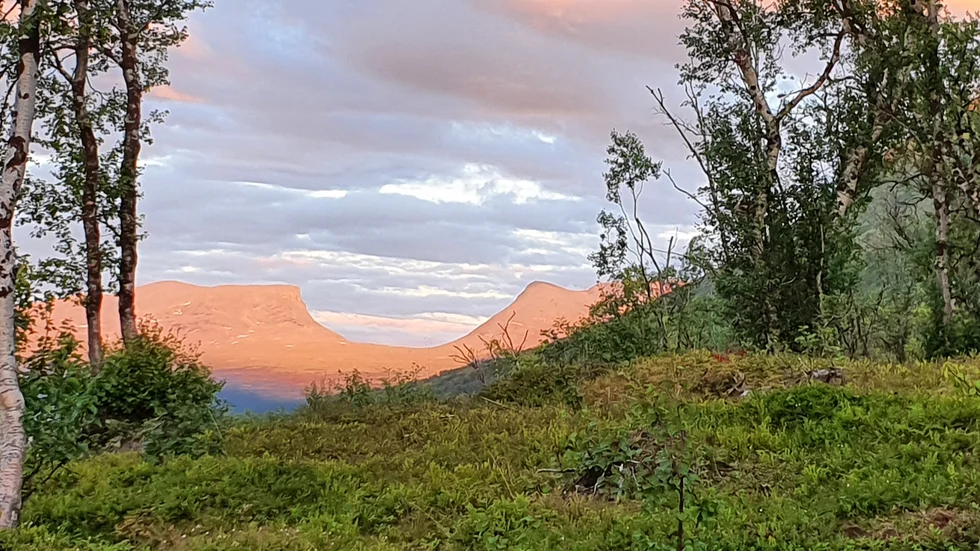 Lapporten en kväll i augusti.