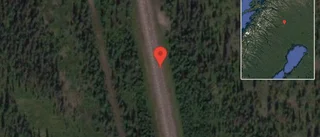 Renar på vägen på E10
