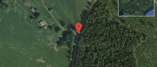 Fallna träd skapar problem i trafiken på väg 534