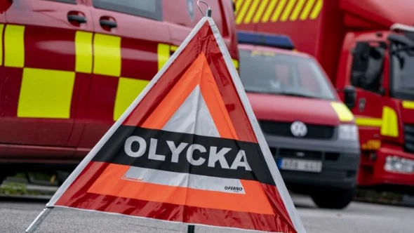 Ett nedfallet träd har orsakat trafikstopp i Borghamn.