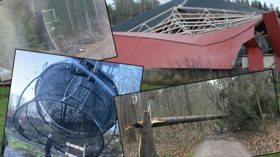 Torsdagens vindar har slagit till på flera håll i Uppsala.