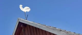Om att sjunga idéernas eller pragmatismens lov