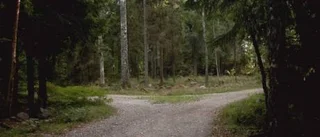 Dags för borgerligheten att välja väg