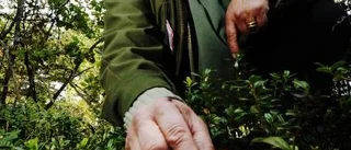 "Var bombsäker när du plockar"