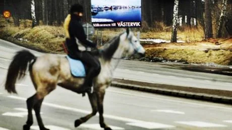 Tvisten om reklamskylten vid infarten fortsätter. Kommunen anser att det är länsstyrelsens ansvar, länsstyrelsen hävdar att man inte kan göra något i frågan.Foto: Ellen Kindstrand