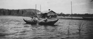Koldioxid orsakar inte syndafloder